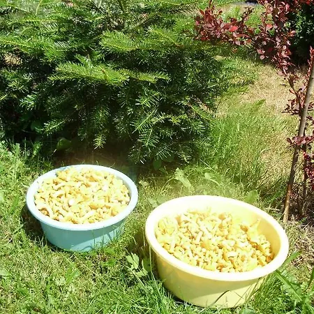 Matej Apartman *